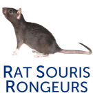 Dératisation, rats, souris, rongeurs